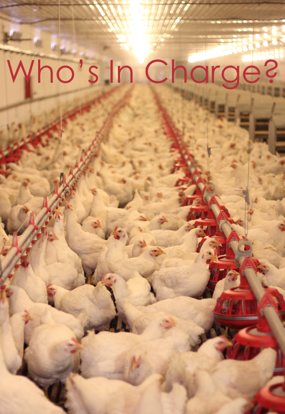 What Is Your Pecking Order? CO2 Partners