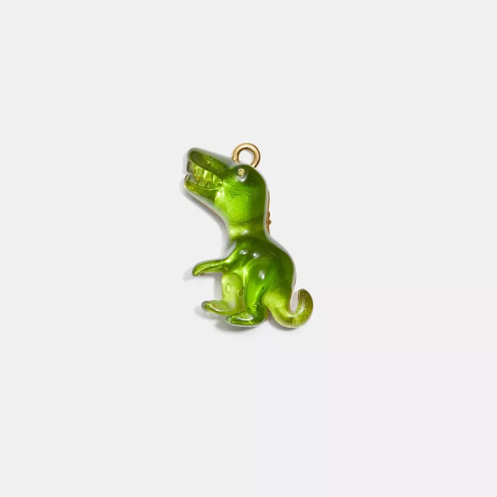 COACH® Rexy Charm