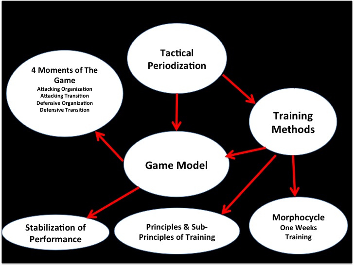 Tactical Periodization In Soccer Coaching Coach DiBernardo