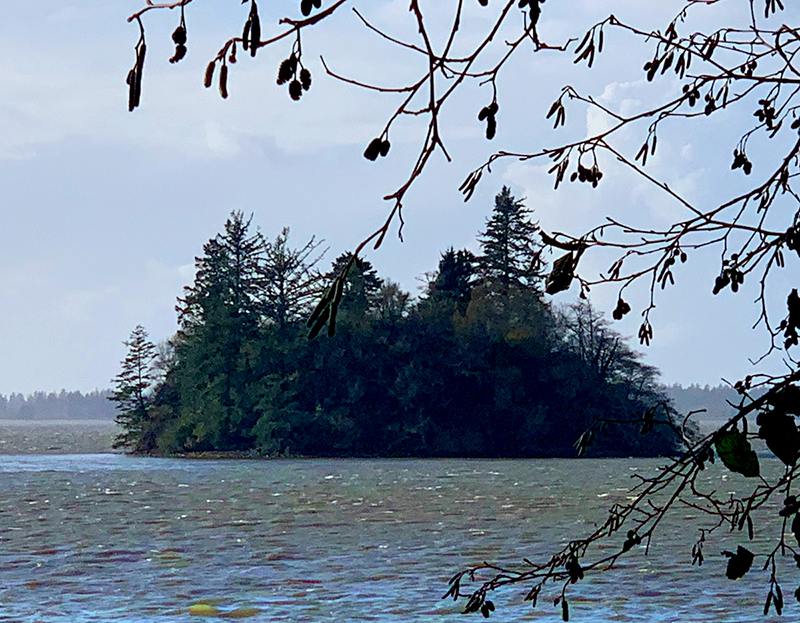 Baby Island, Willapa Bay WA Coachella Valley Weekly