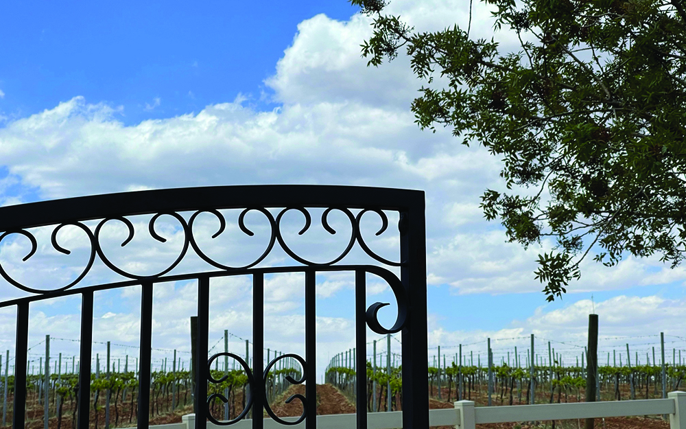 Arizona Wine Tours Coachella Valley Weekly
