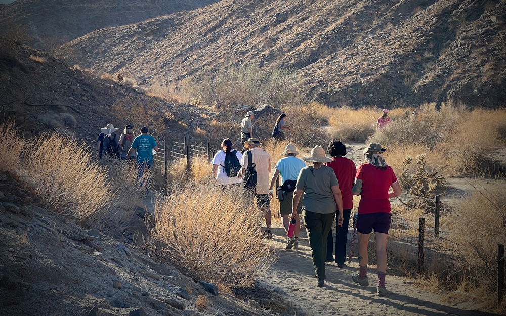 Carrizo Canyon Ecological Reserve Coachella Valley Weekly