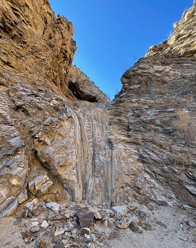 Carrizo Canyon Ecological Reserve Coachella Valley Weekly