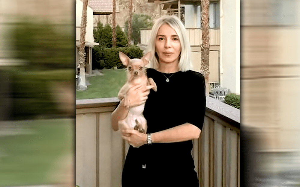 WONDERFUL ANIMALS AT THE DESERT HOT SPRINGS SHELTER! Coachella Valley