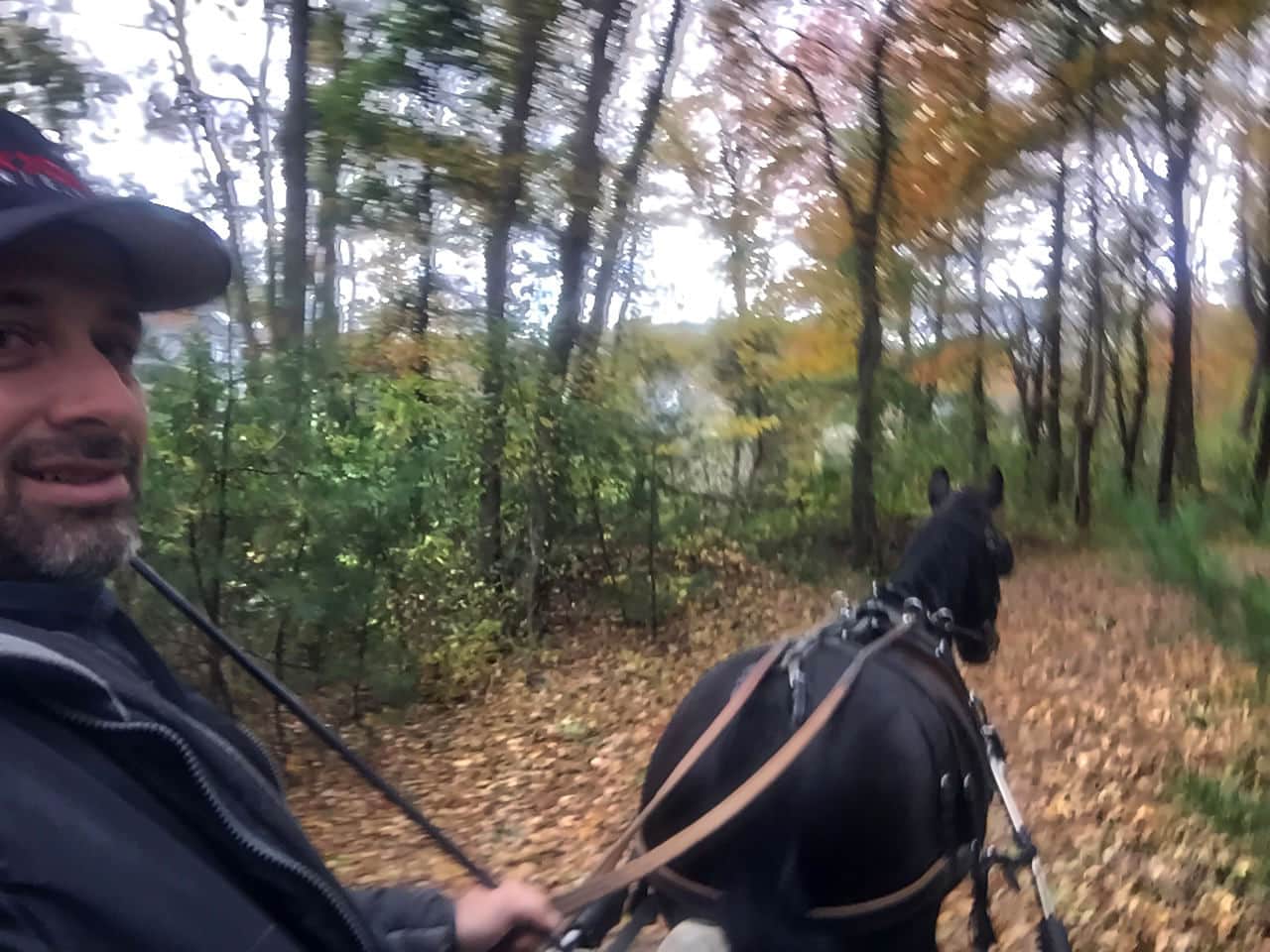 Your Favorite Carriage Driving Moments This Year? Coachman's Delight