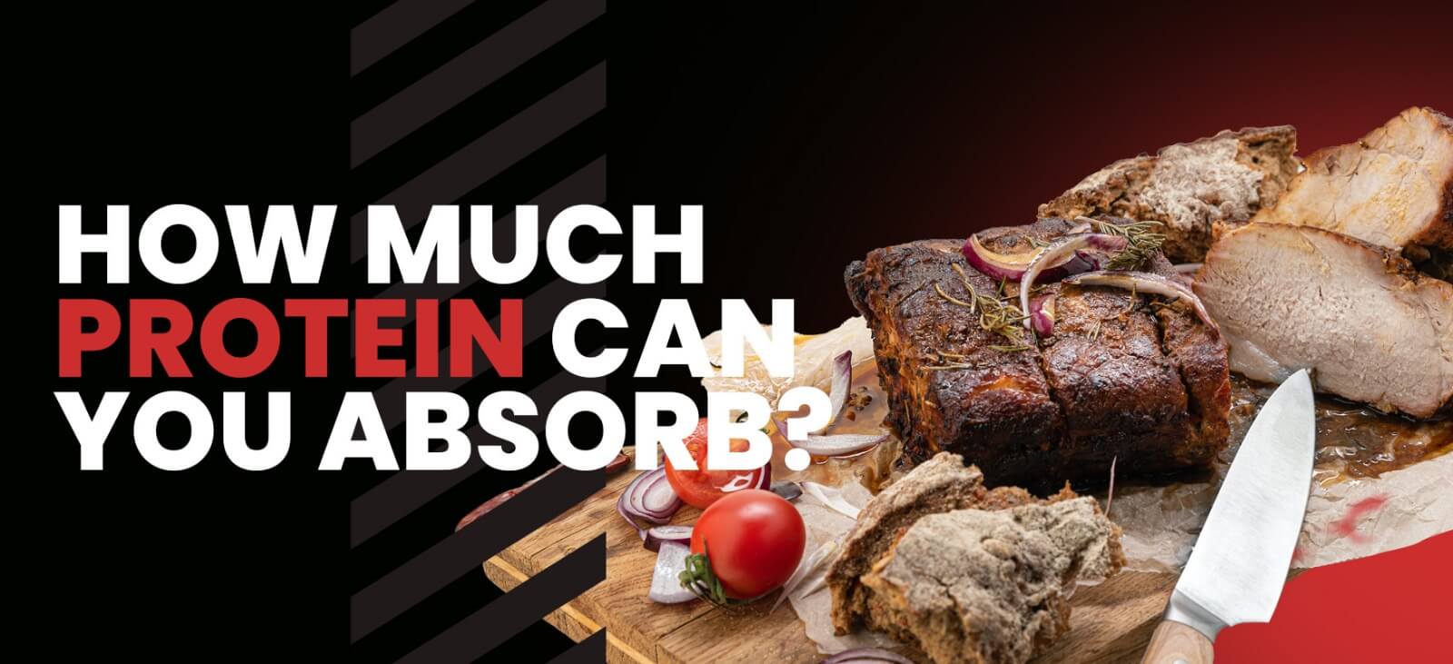 How Much Protein Can You Absorb? Coach Mark Carroll