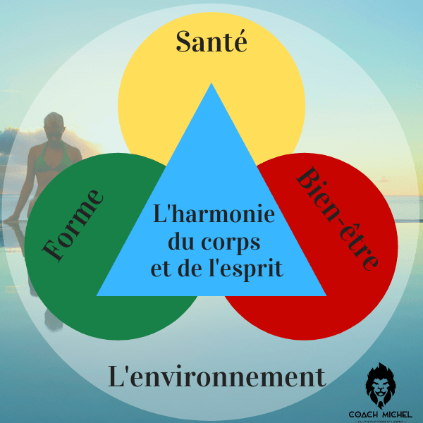 Holistique, une approche pas comme les autres. Coachmichel