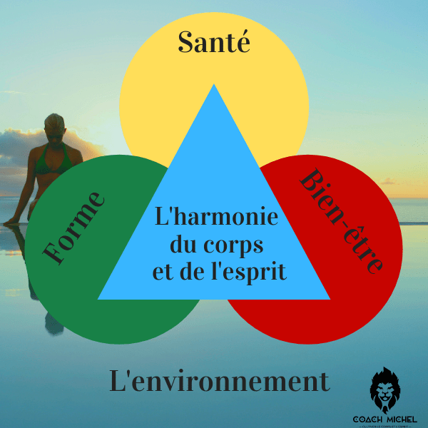 Holistique, une approche pas comme les autres. Coachmichel