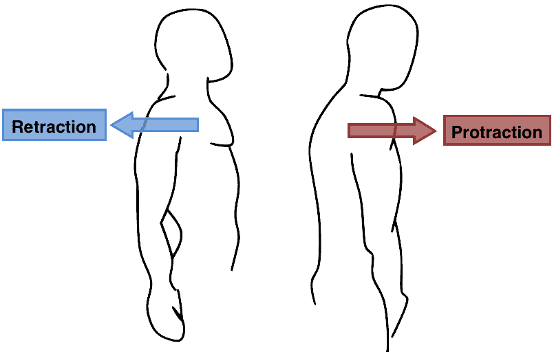 How To Fix Trapezius Pain Fast [Ultimate Guide]