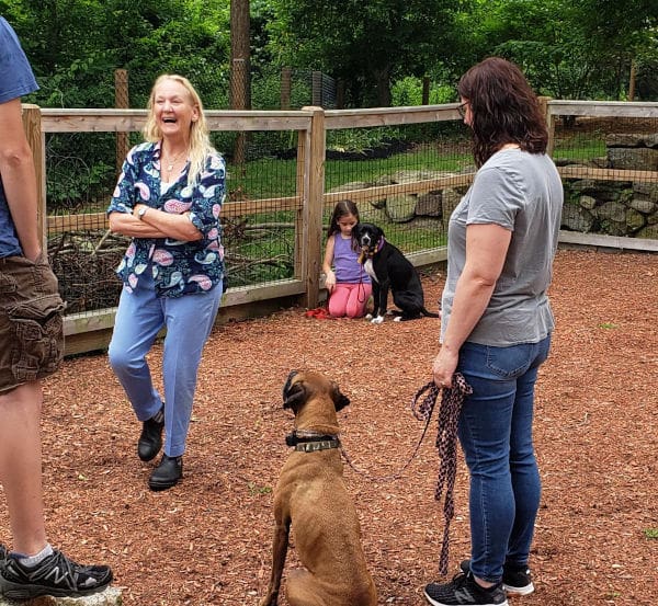 FamilyCentered Balanced Dog Training Dog Coach LLC