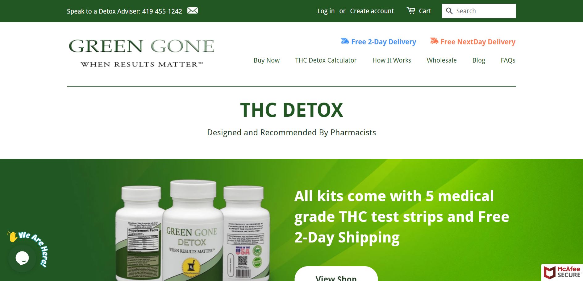 SEO & PPC For Health & Beauty Green Gone Detox Coalition