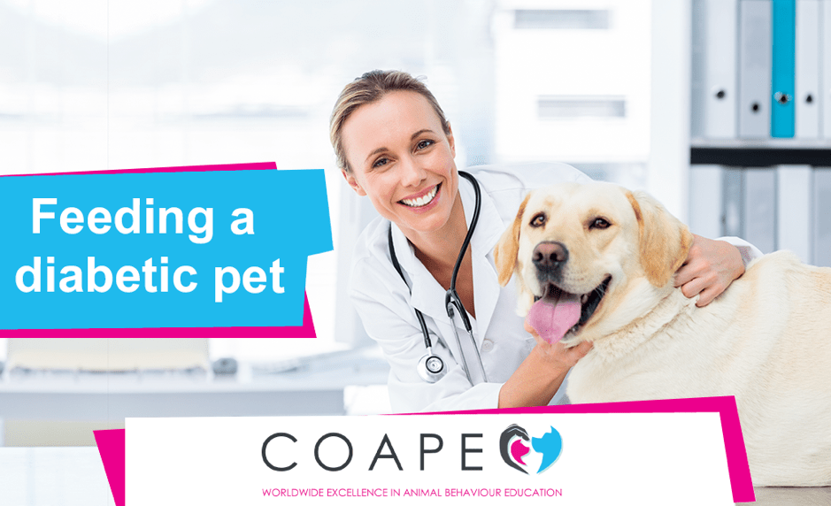 Feeding a diabetic pet COAPE
