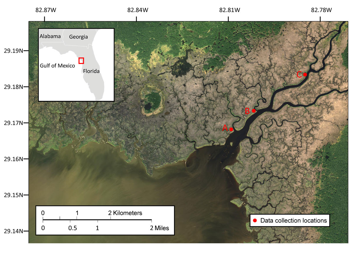 Data Release Sedimentary Data from the Coastal Marshes Fringing the Lower Waccasassa River