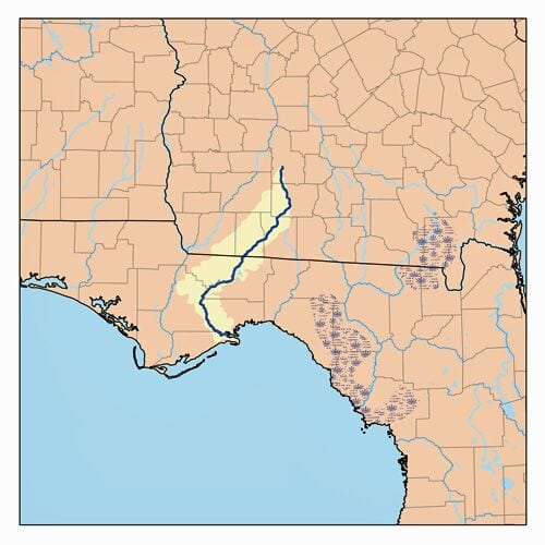 Ochlockonee Bay Florida Map The Ochlockonee River Coastal Angler & The Angler Magazine