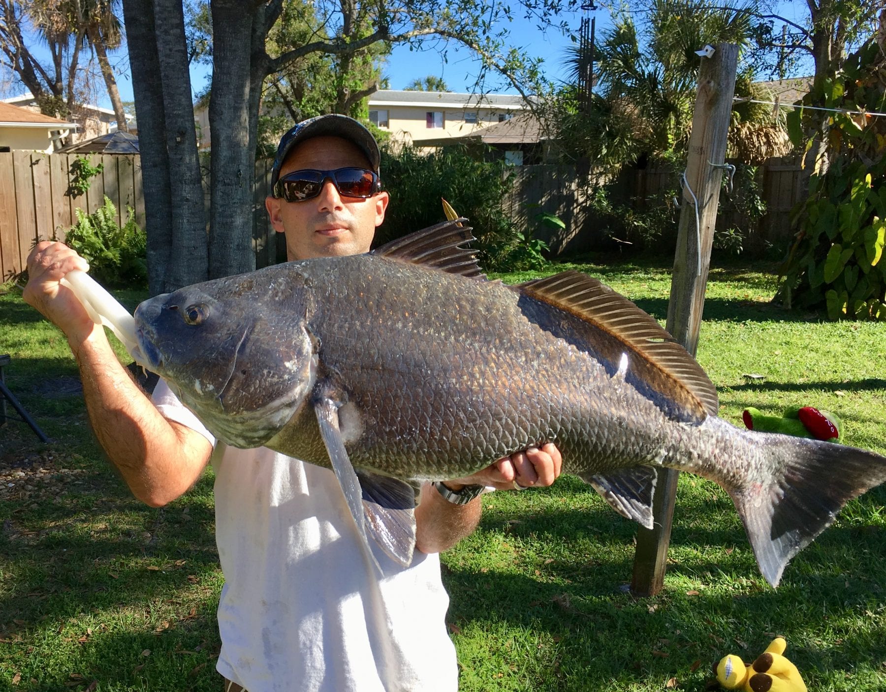 Black Drum Melbourne, FL Coastal Angler & The Angler Magazine
