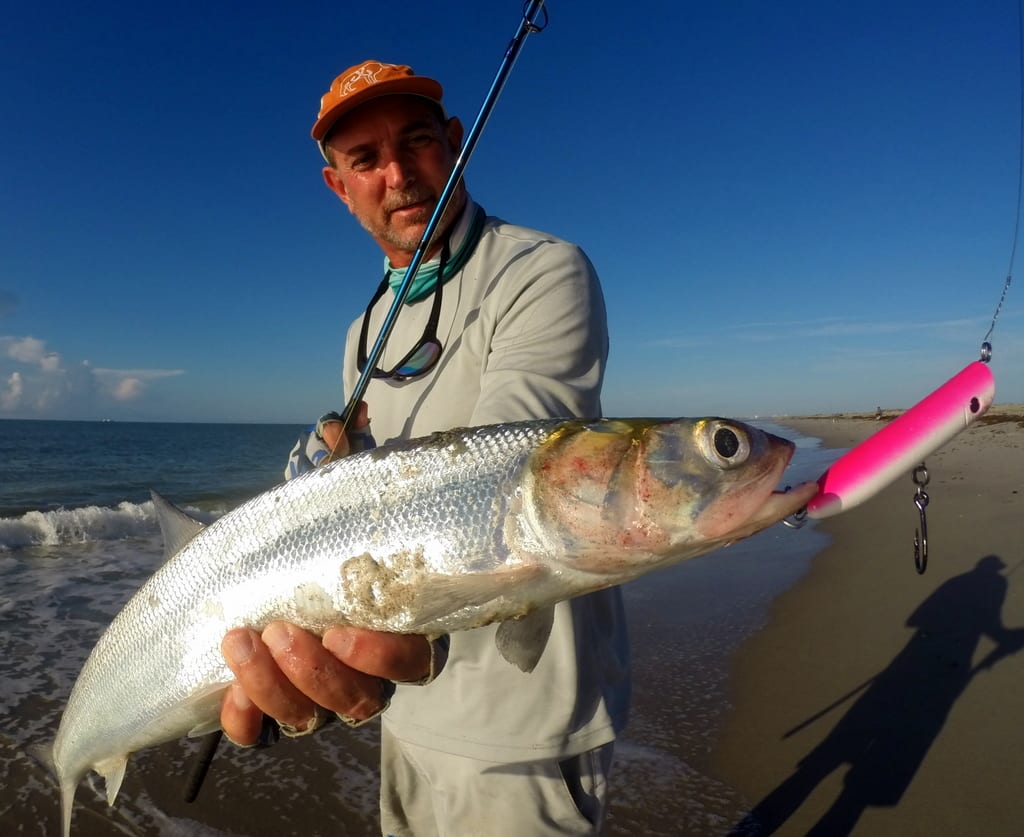 Ladyfish Coastal Angler & The Angler Magazine