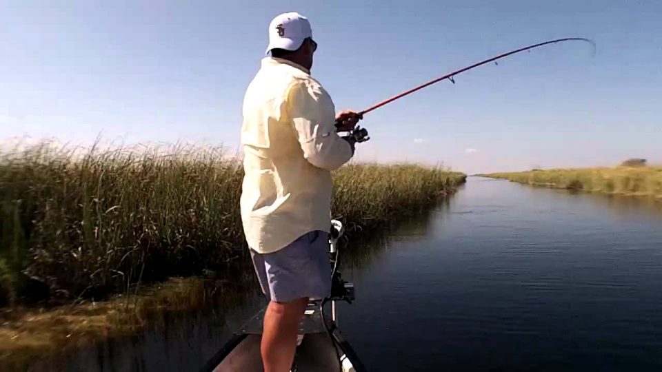 Florida buying 20,000 acres of Everglades land to prevent oil drilling