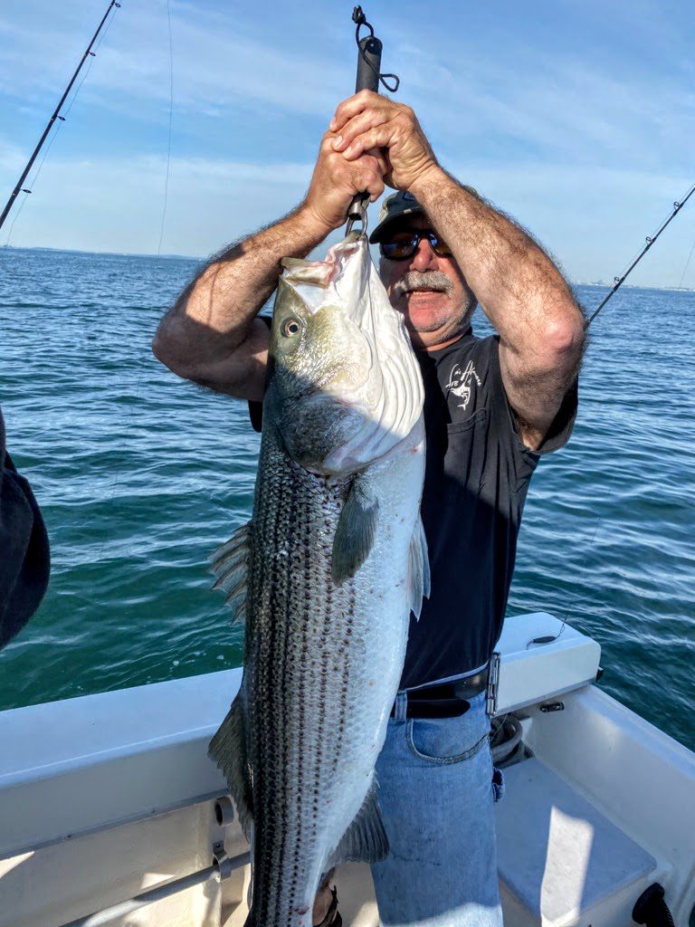 Boston striper Coastal Angler & The Angler Magazine