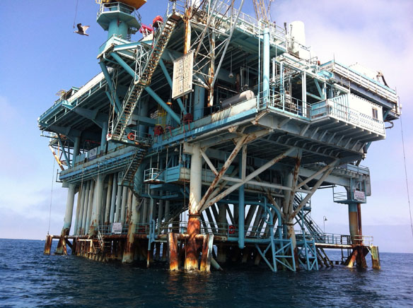 Gulf Oil Catastrophe Coastal Care