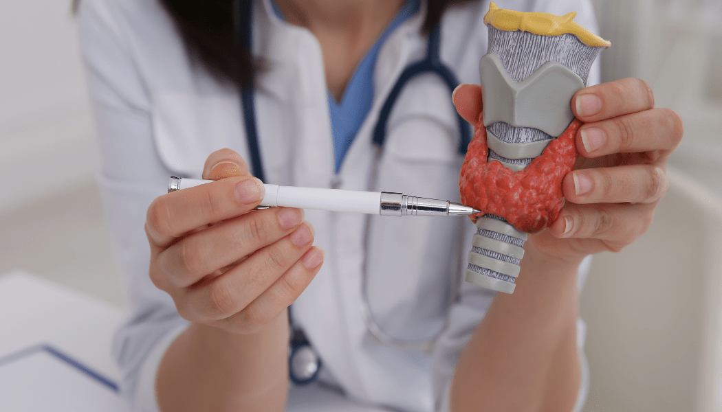 What is a Thyroidectomy? Coastal Ear Nose & Throat Holmdel ENT