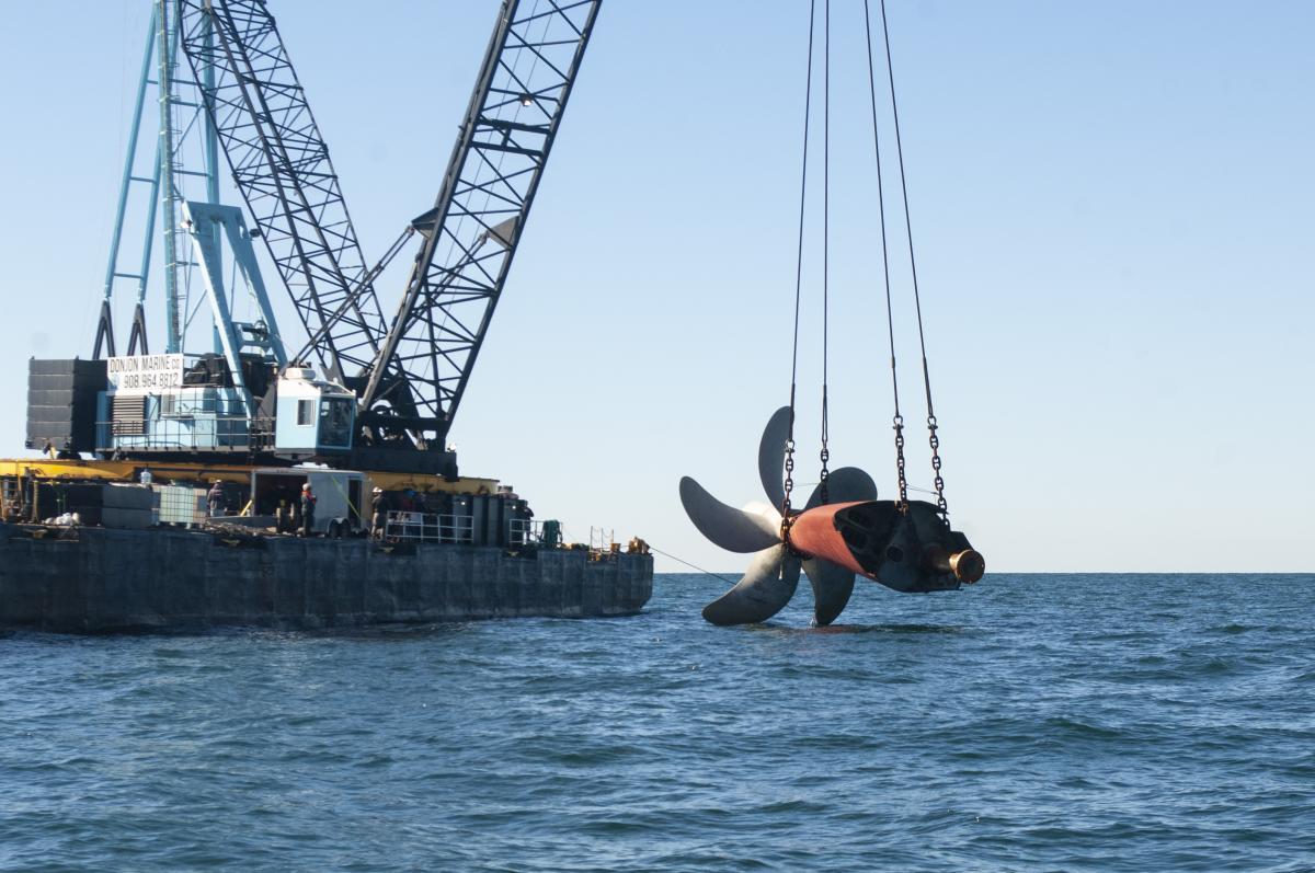 Golden Ray propeller, pieces part of artificial reef