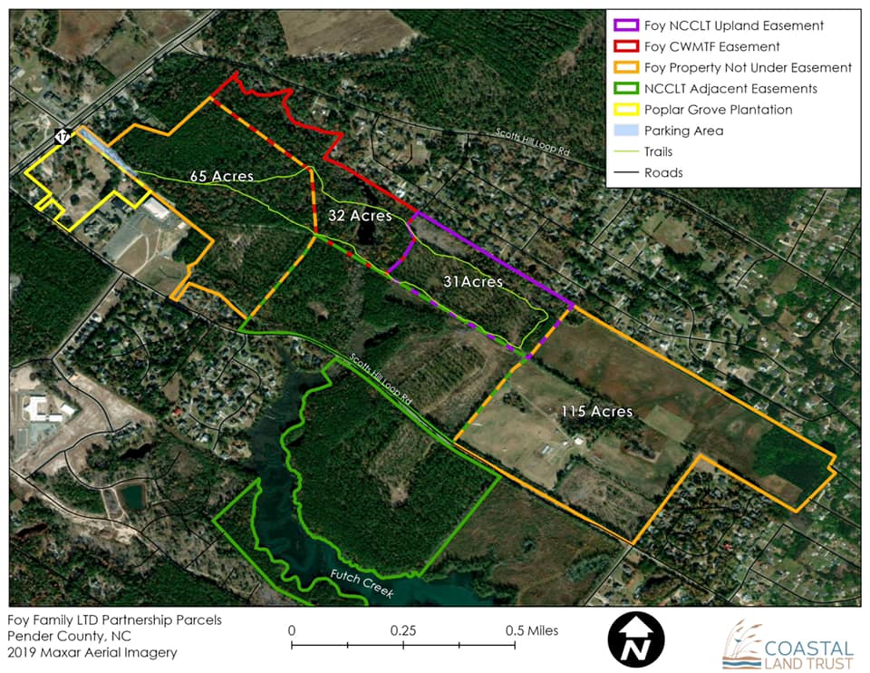 Abbey Nature Preserve Pender County NC Coastal Land Trust