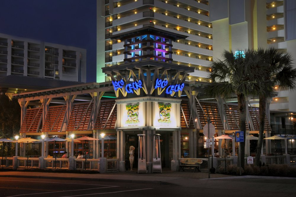 Loco Gecko Coastal Structures