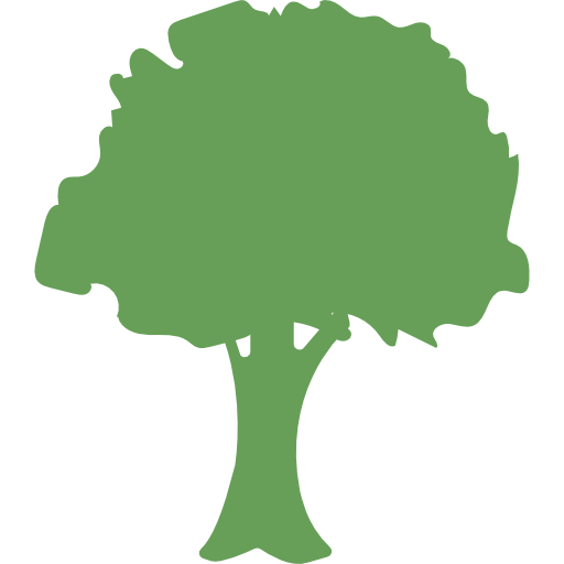 Tree Care in San Luis Obispo County, CA