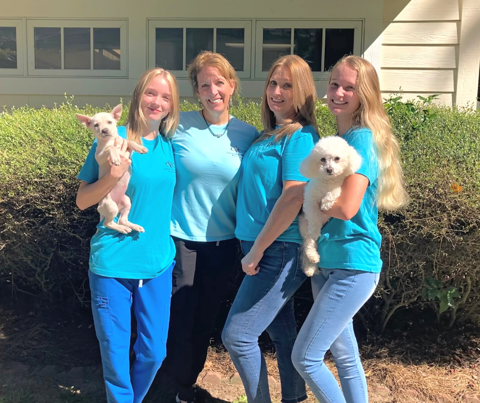 About Coastal Veterinary Clinic