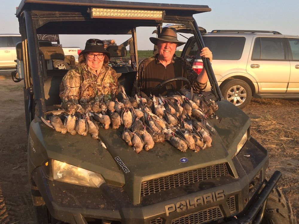 Dove Hunting Coastal Wings Guide Service & Lodge