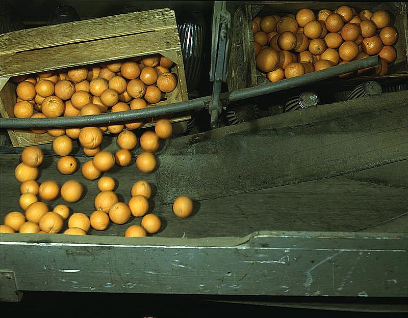 Packing Houses and Other Structures in Southern California