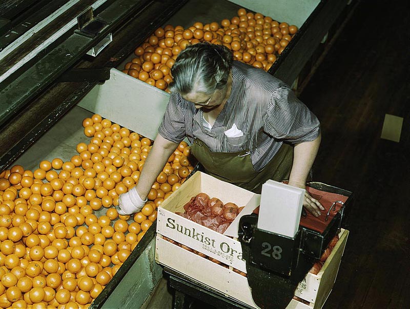 Packing Houses and Other Structures in Southern California