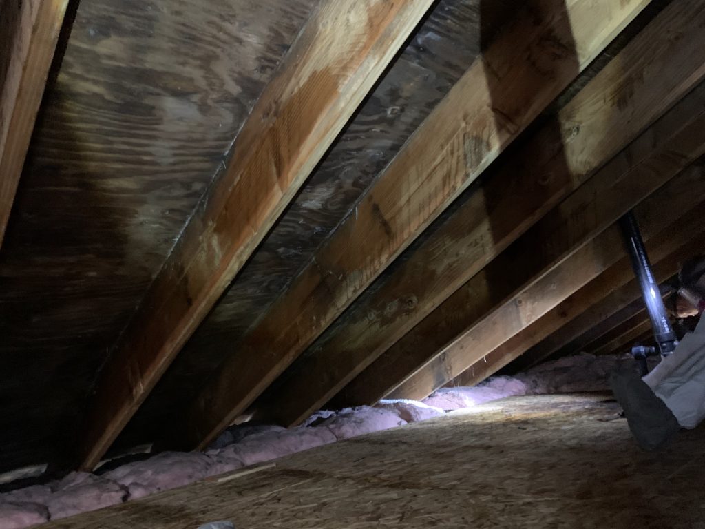 Mold Remediation in Attic in a home in Newport, Oregon Coast Disaster