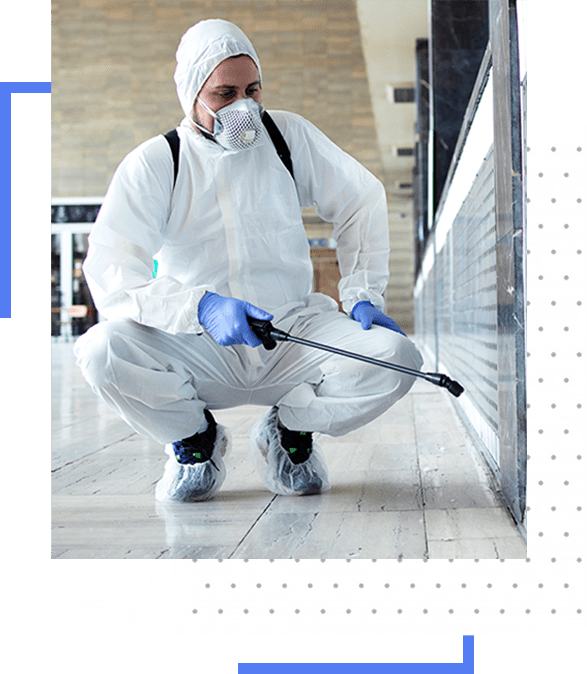 Sani Fogger Mold Remediation Long Beach CA Water Damage Restoration