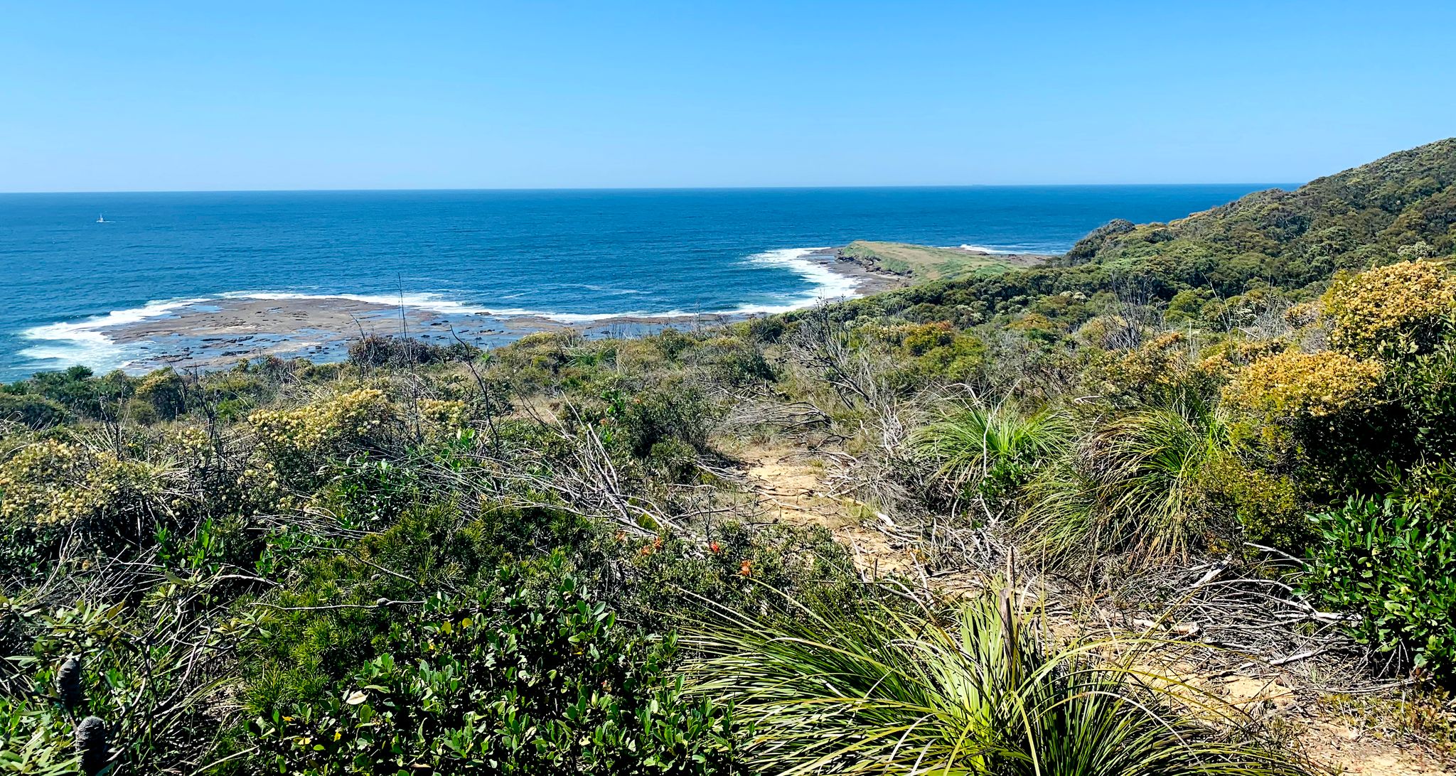 MOONEE BEACH WALKING TRAIL MUNMORAH STATE CONSERVATION AREA COAST