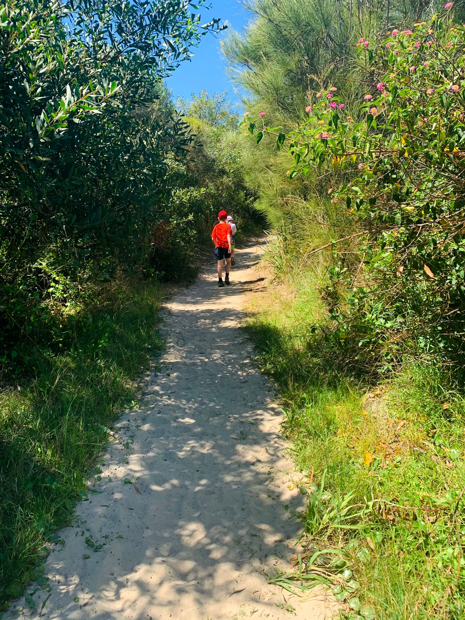 MOONEE BEACH WALKING TRAIL MUNMORAH STATE CONSERVATION AREA COAST