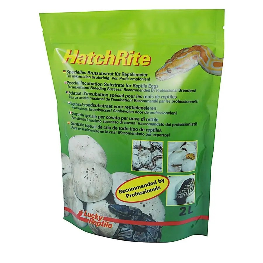 Reptile Egg Incubation Coast To Coast Exotics