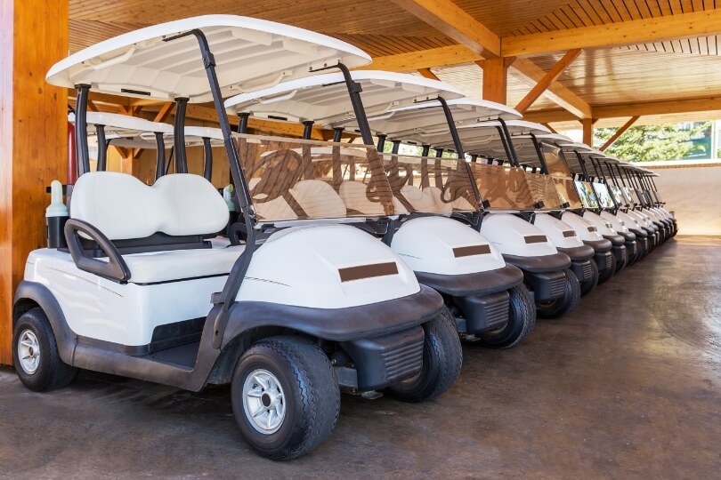 Coast to Coast Golf Carts Rentals