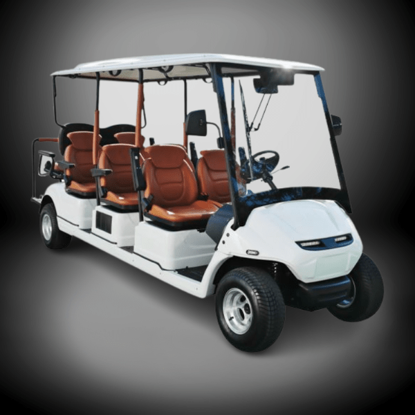 Tybee Island Golf Carts Coast to Coast Rentals 2024