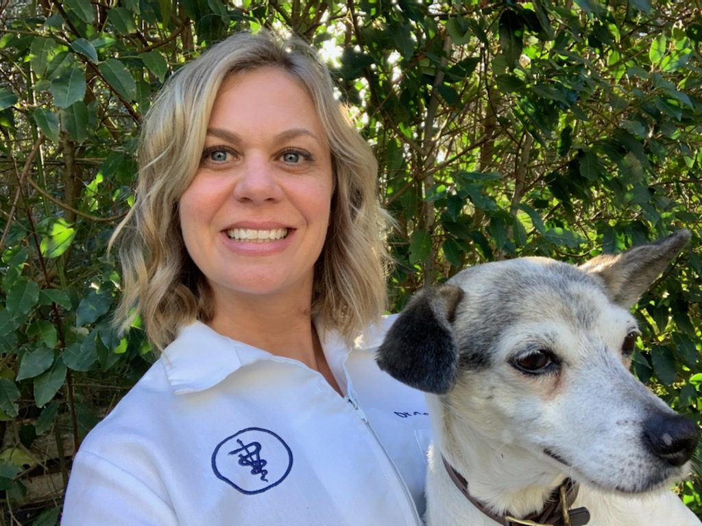 Pets First Vet Clinic Chicago Quality Animal Care Village West Veterinary Chicago Il 3413 n