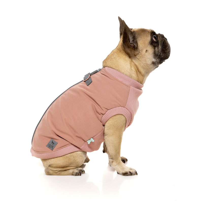 Pink Dog Jackets In 2024