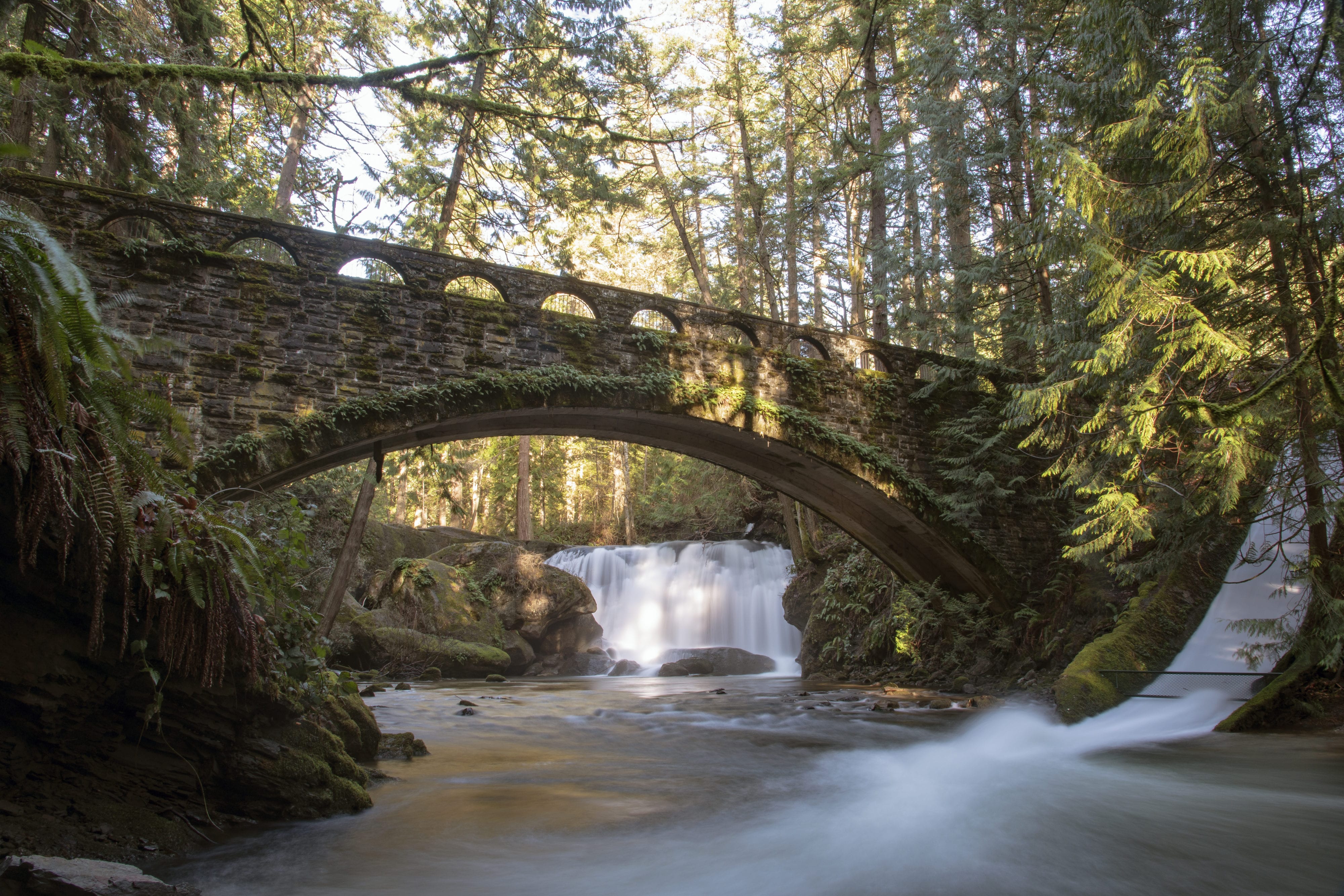 Falls Park Small Shelter City of Bellingham