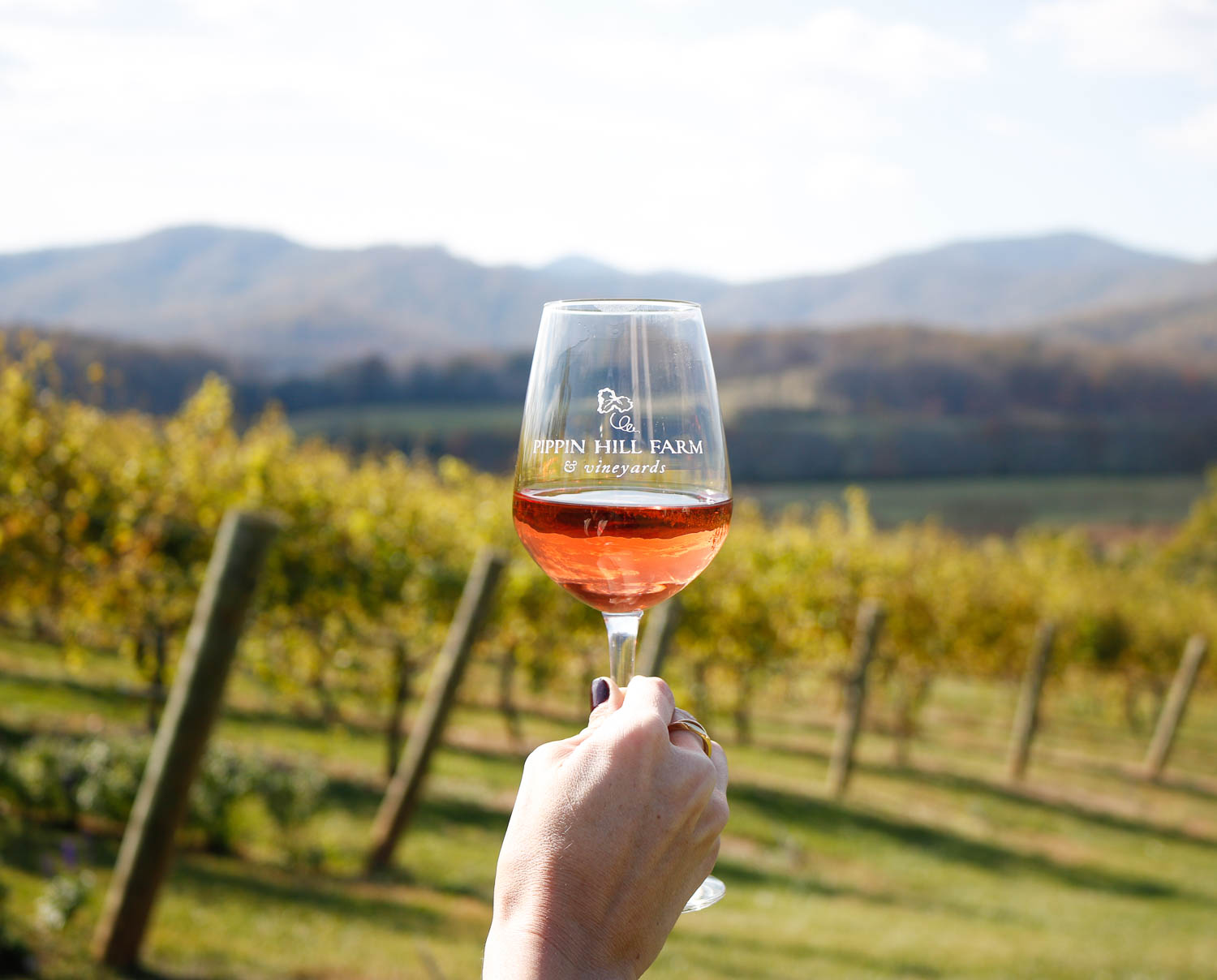 3 Vineyards to Visit in Charlottesville, Virginia