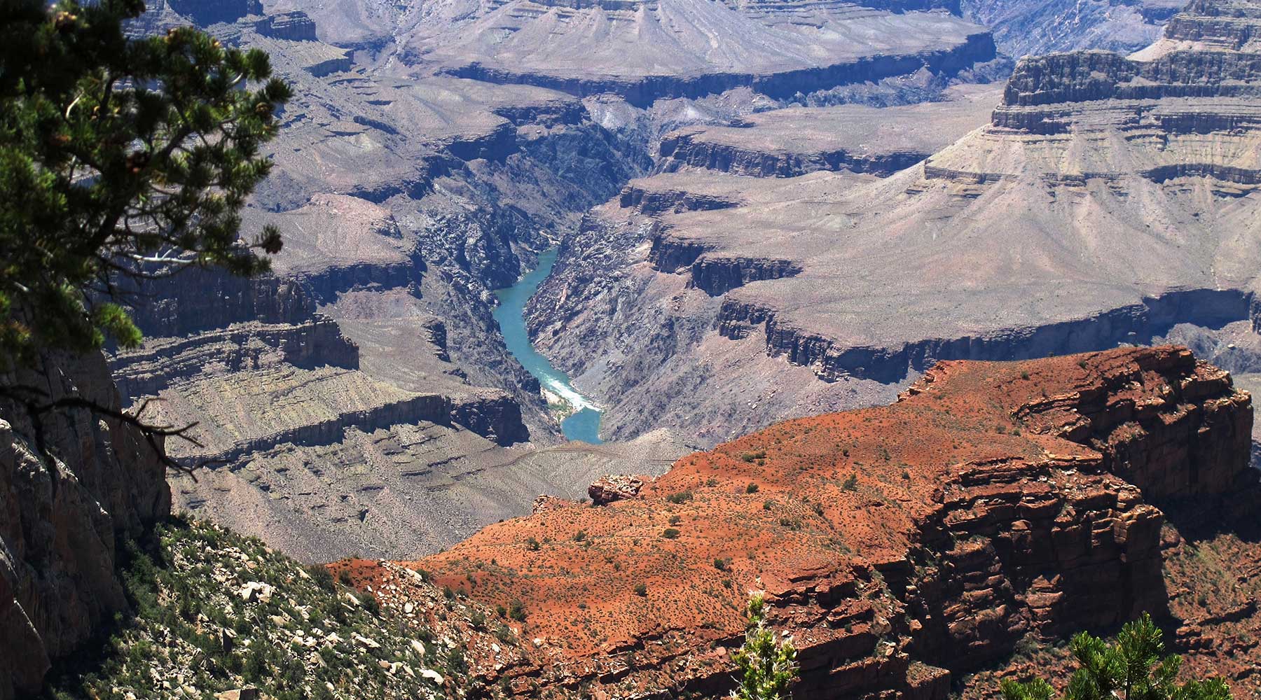 Grand Canyon Air and Land Tour Scenic flight over the canyon