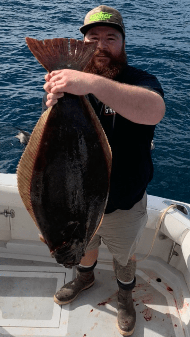Halibut on 1/2 day Cobalt Sportfishing San Diego Sport Fishing
