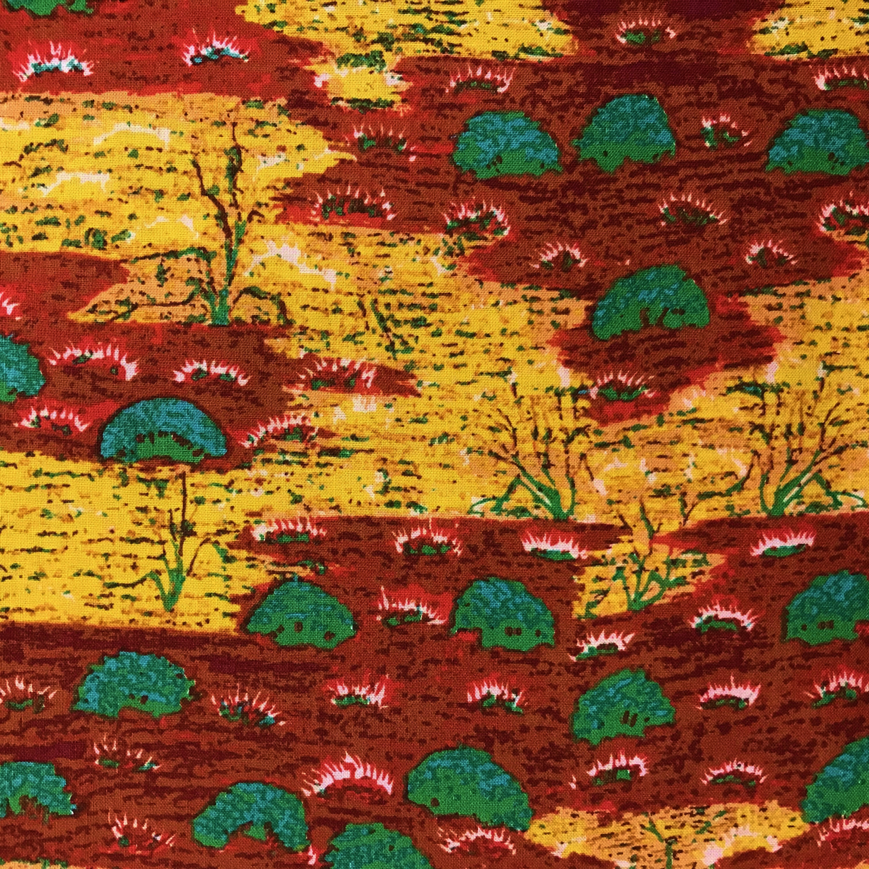 Canteen Creek 1cnteencreek1