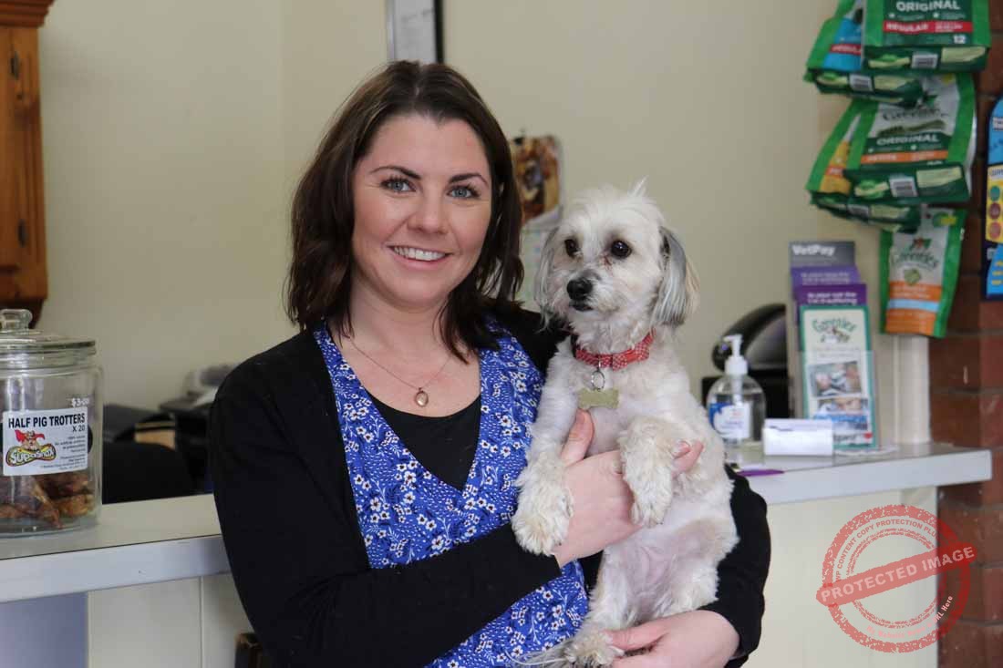 New vet is enjoying change of pace working in the Outback The Cobar