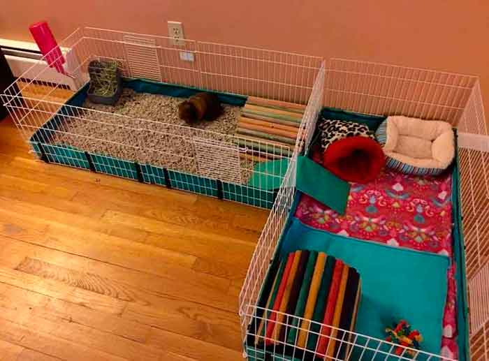 🥇 La mejor jaula modular para Cobayas en Amazon MIDWEST