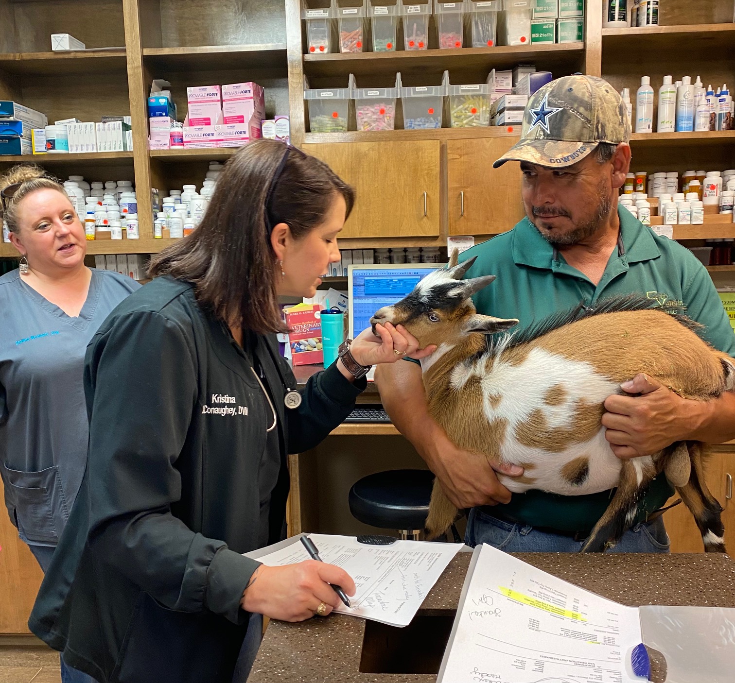 Cobb Veterinary Clinic Gallery Vet Clinic In Midland, TX 79706