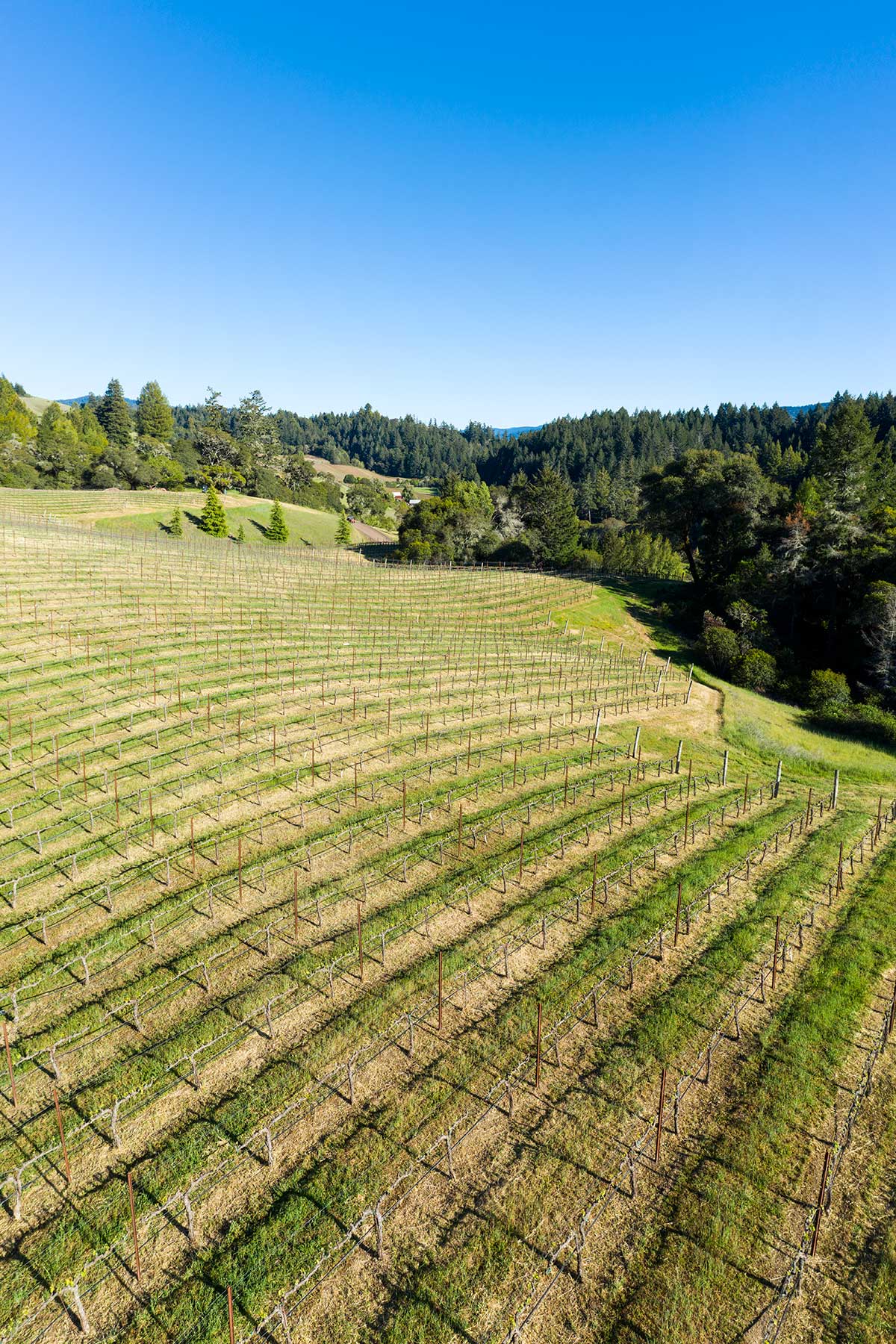 Kiser Vineyard Cobb Wines